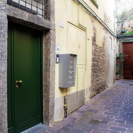 Calicantus Apollo Appartement *